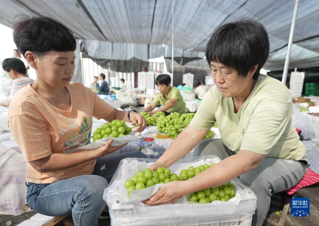 天下足球下载